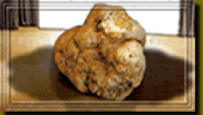 The truffle